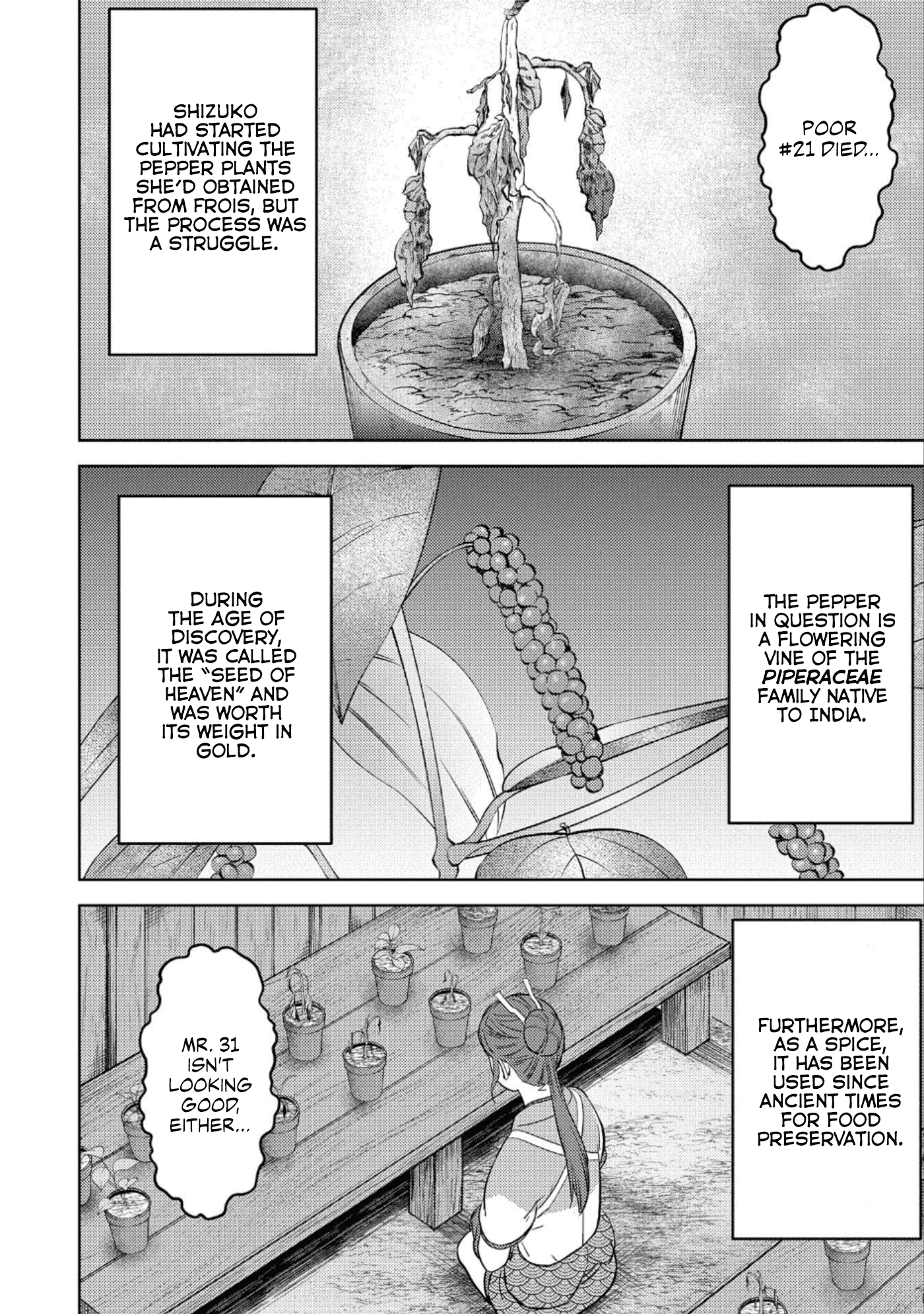 Sengoku Komachi Kuroutan: Noukou Giga Chapter 44 3